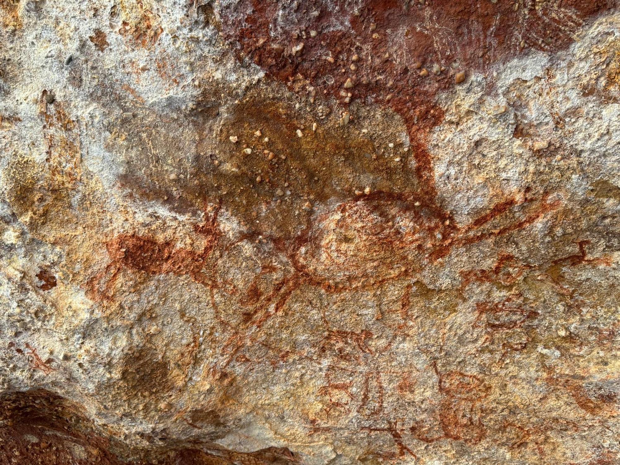 Casa Barreirinho Parque Nacional Serra Da Capivara Coronel Jose Dias Екстериор снимка