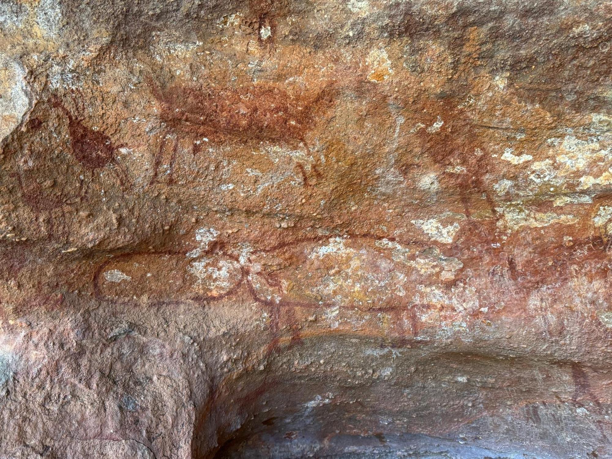 Casa Barreirinho Parque Nacional Serra Da Capivara Coronel Jose Dias Екстериор снимка