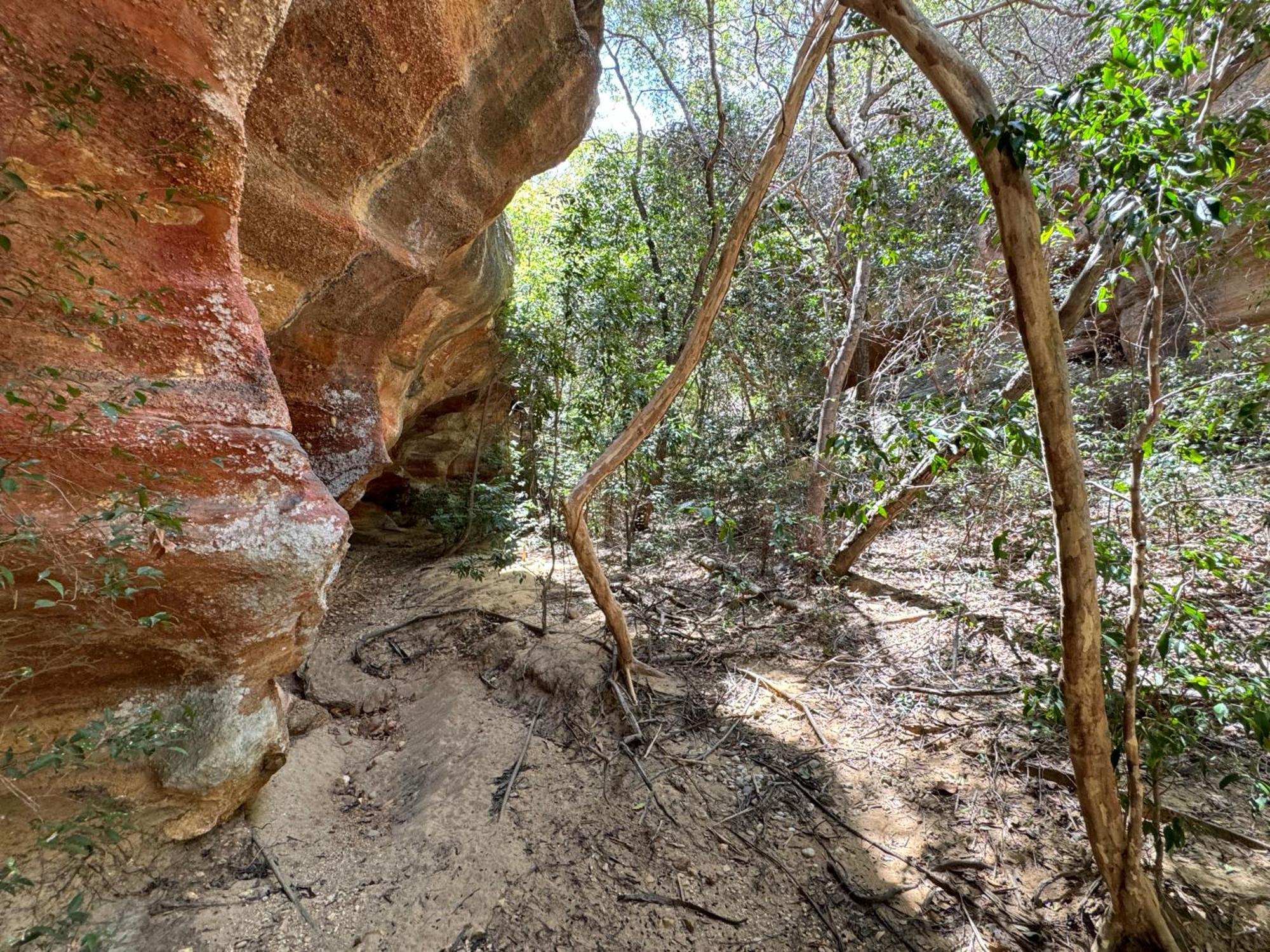 Casa Barreirinho Parque Nacional Serra Da Capivara Coronel Jose Dias Екстериор снимка