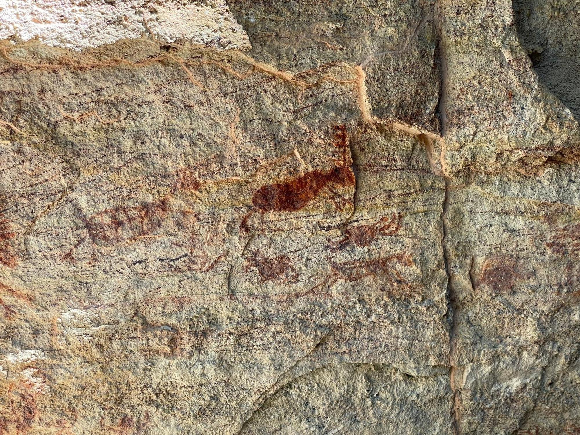 Casa Barreirinho Parque Nacional Serra Da Capivara Coronel Jose Dias Екстериор снимка