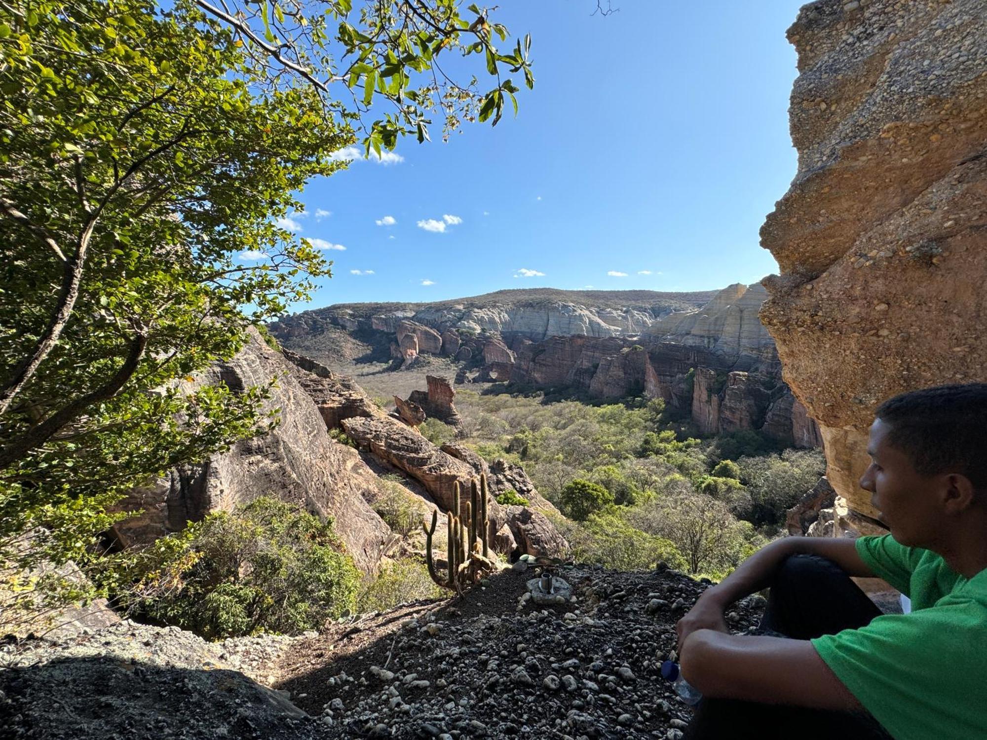 Casa Barreirinho Parque Nacional Serra Da Capivara Coronel Jose Dias Екстериор снимка