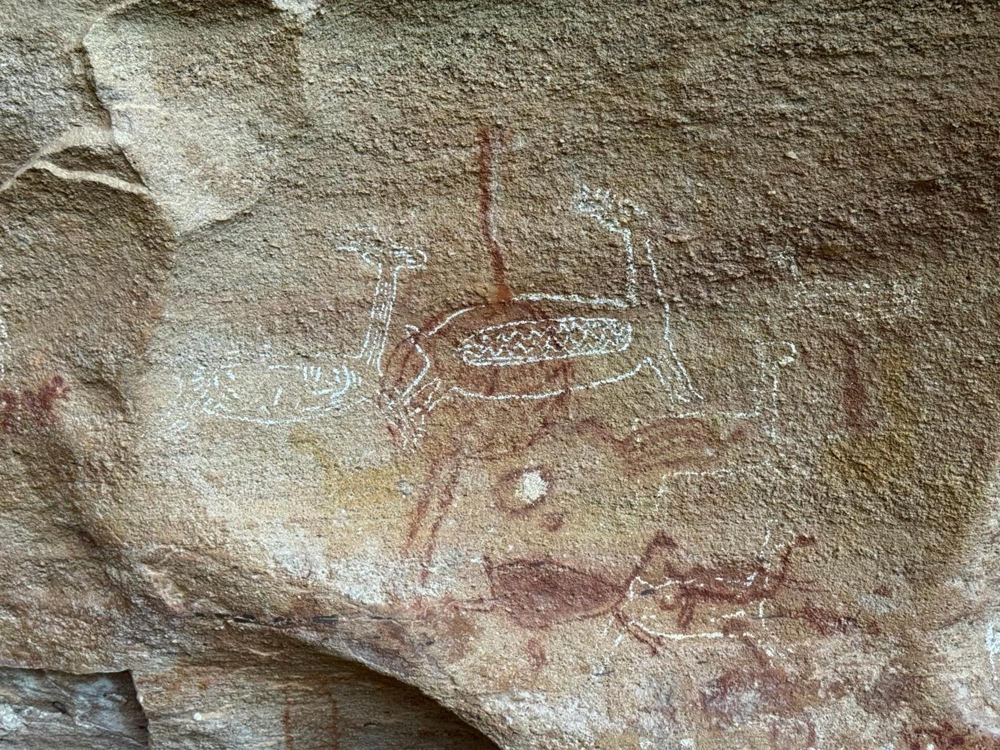 Casa Barreirinho Parque Nacional Serra Da Capivara Coronel Jose Dias Екстериор снимка