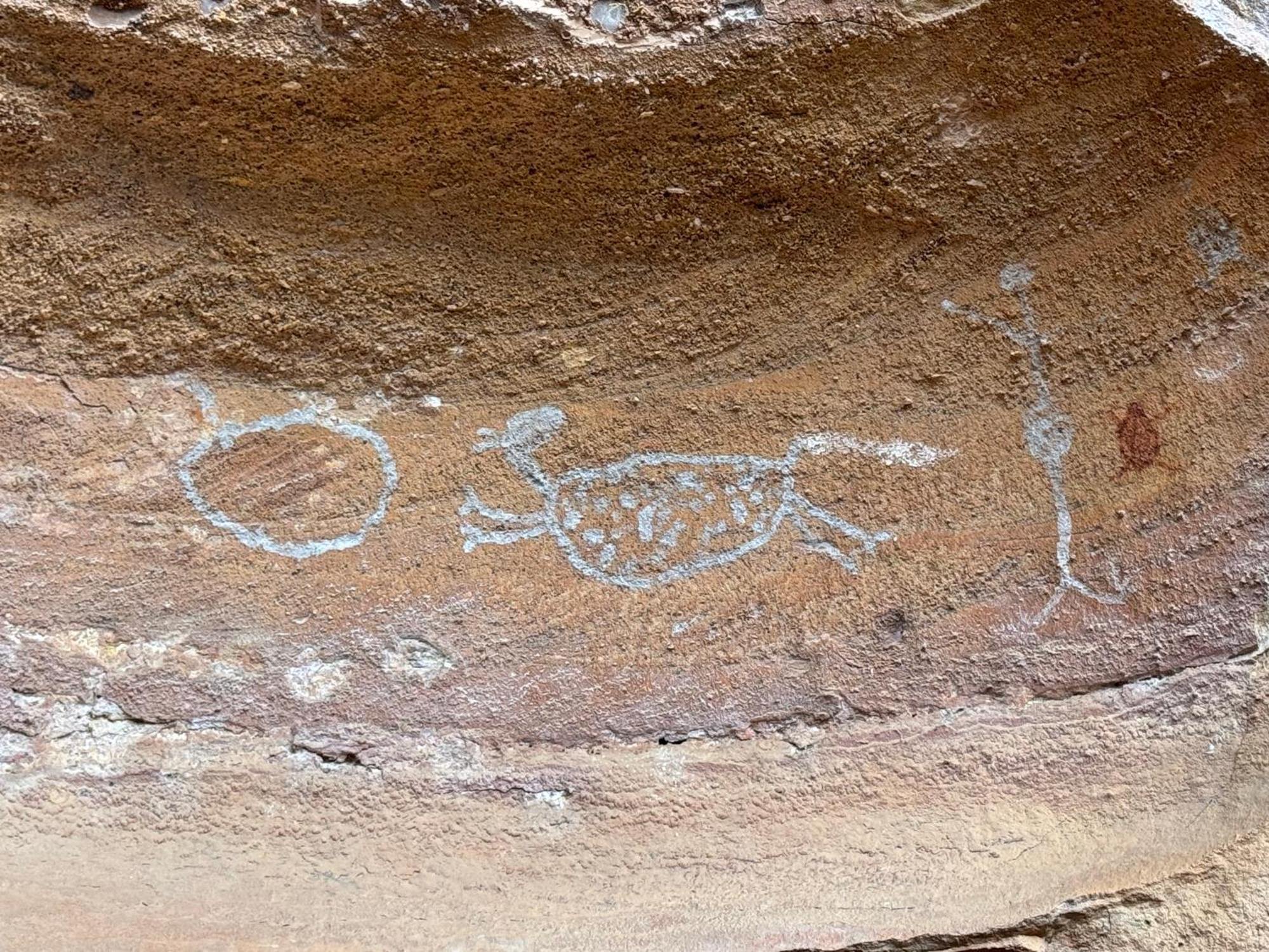 Casa Barreirinho Parque Nacional Serra Da Capivara Coronel Jose Dias Екстериор снимка