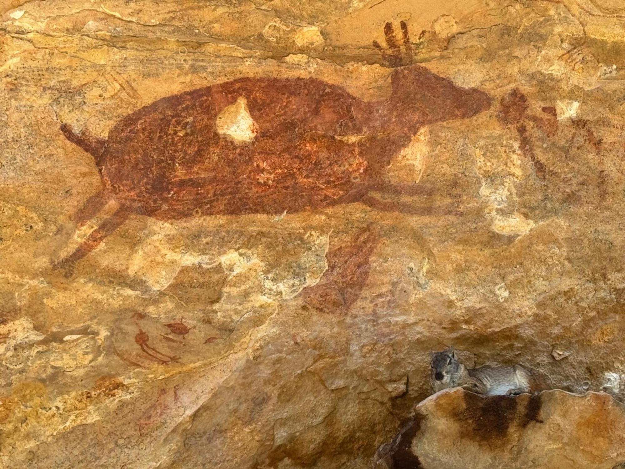 Casa Barreirinho Parque Nacional Serra Da Capivara Coronel Jose Dias Екстериор снимка