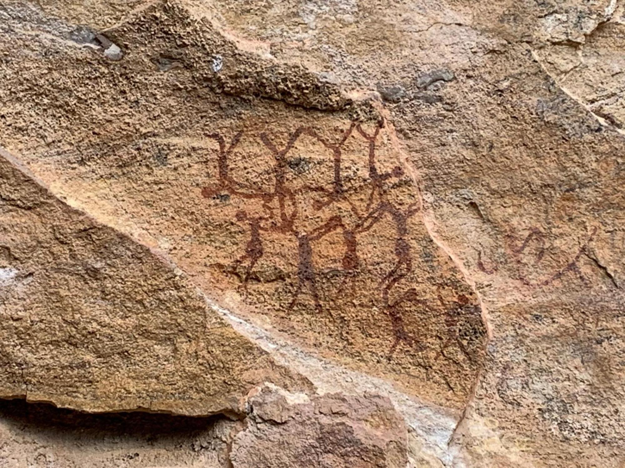 Casa Barreirinho Parque Nacional Serra Da Capivara Coronel Jose Dias Екстериор снимка
